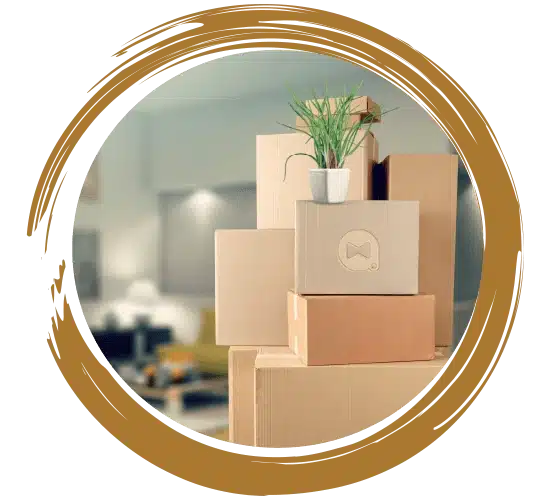 Umzug Berlin – Brandenburg an der Havel: alles inklusive