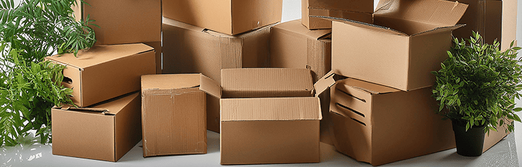 International moving services Germany