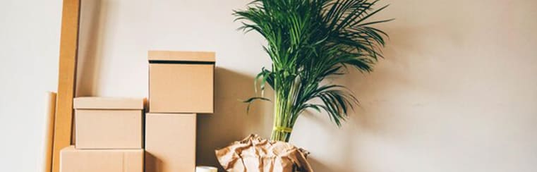 Umzugsdienstleistungen in Berlin und Umgebung