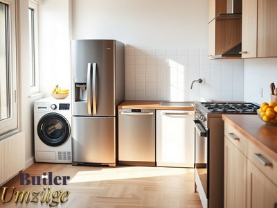 Umzugsdienstleistungen in Deutschland und Umgebung